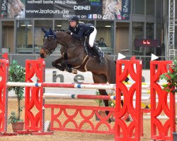 jumper Call Me Niki (Bavarian, 2011, from Contendro I)