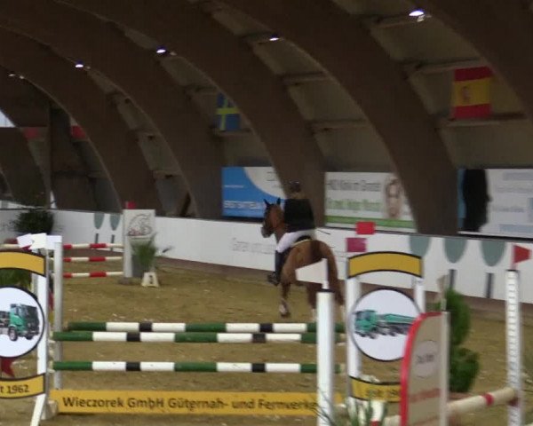 Reitturnier Essen-Stadtwald 2018