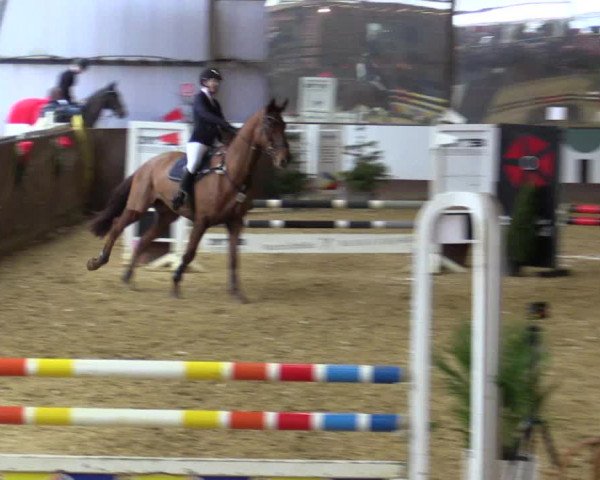 Reitturnier Essen-Stadtwald 2018