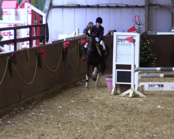 Reitturnier Essen-Stadtwald 2018