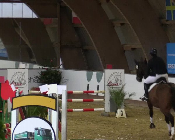 Reitturnier Essen-Stadtwald 2018