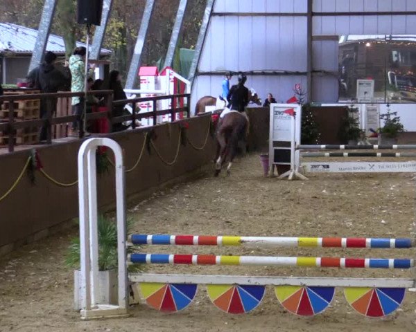 Reitturnier Essen-Stadtwald 2018