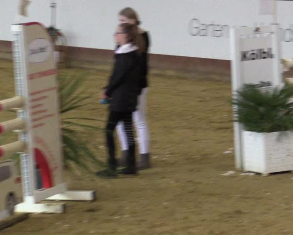 Reitturnier Essen-Stadtwald 2018