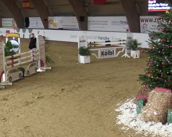 Reitturnier Essen-Stadtwald 2018