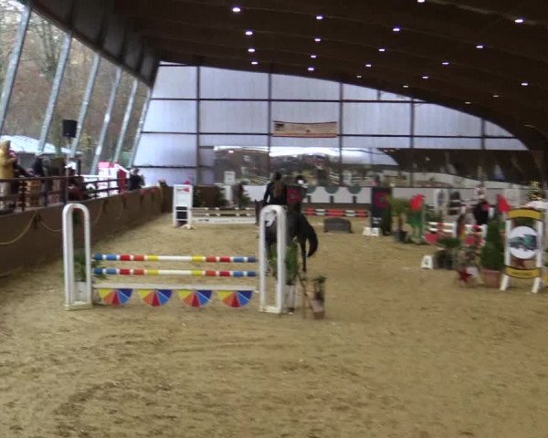 Reitturnier Essen-Stadtwald 2018