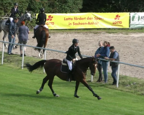 Reitturnier Wernigerode 2021