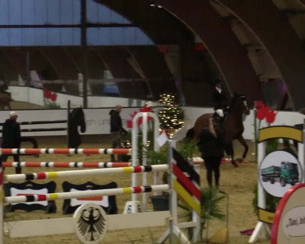 Reitturnier Essen-Stadtwald 2018