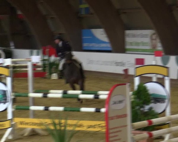 Reitturnier Essen-Stadtwald 2018