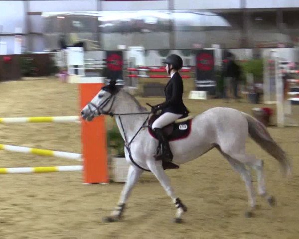 Reitturnier Essen-Stadtwald 2018