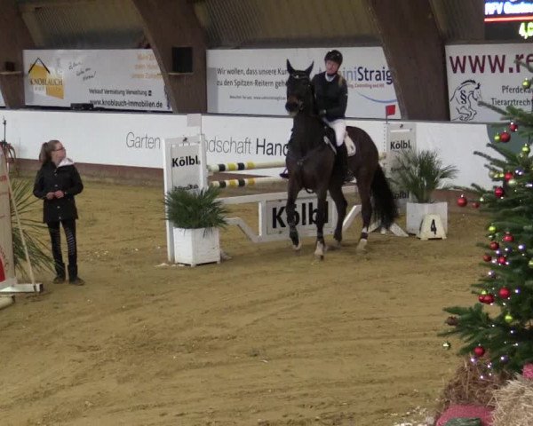 Reitturnier Essen-Stadtwald 2018