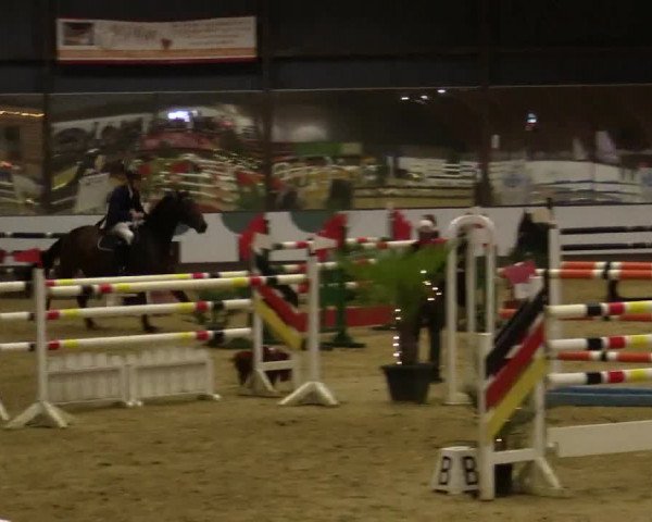 Reitturnier Essen-Stadtwald 2018
