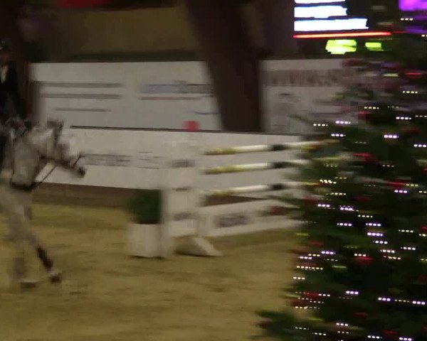 Reitturnier Essen-Stadtwald 2018