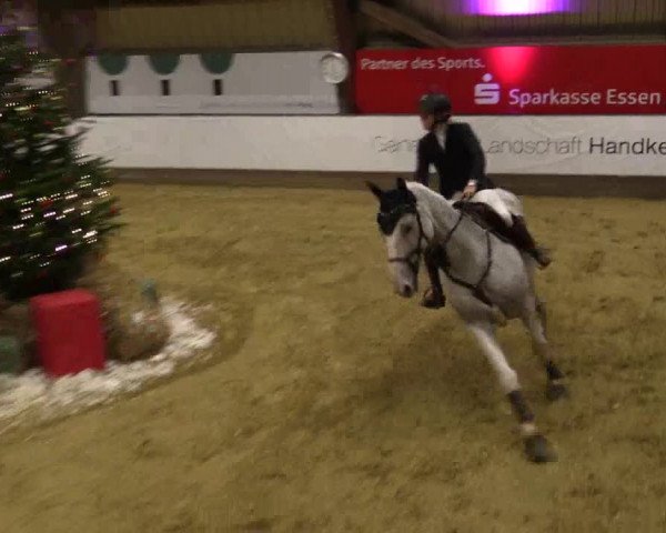 Reitturnier Essen-Stadtwald 2018