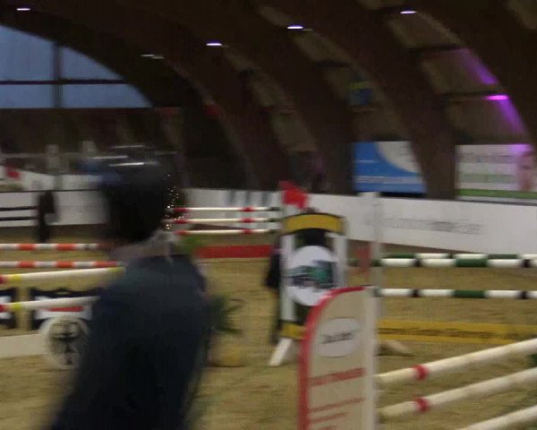 Reitturnier Essen-Stadtwald 2018
