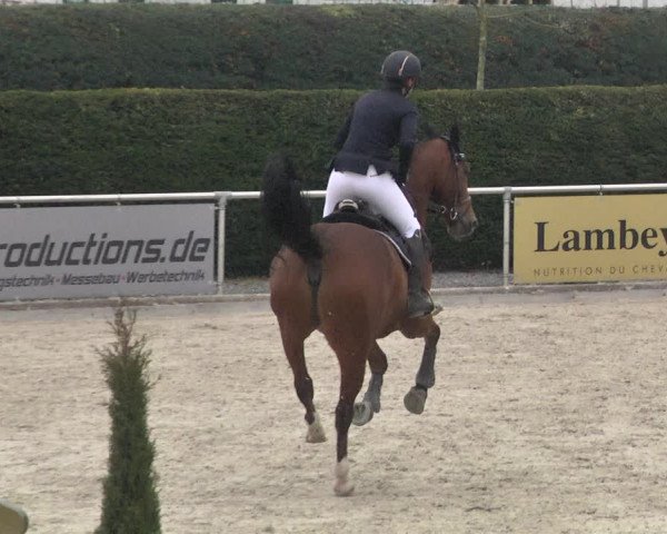 Reitturnier Durmersheim-Hardt 2021