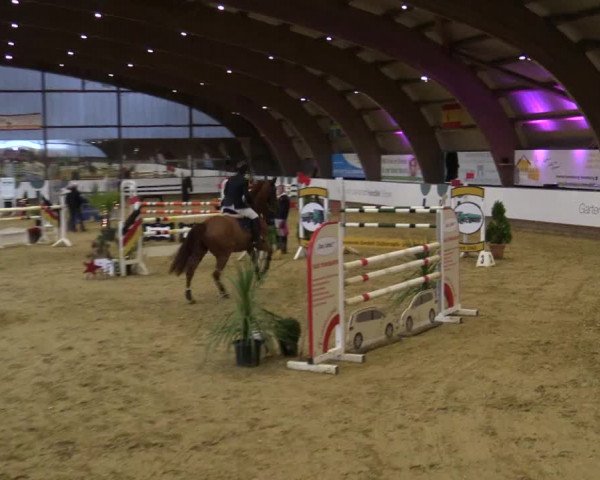 Reitturnier Essen-Stadtwald 2018