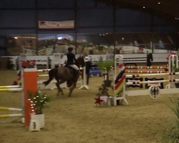 Reitturnier Essen-Stadtwald 2018