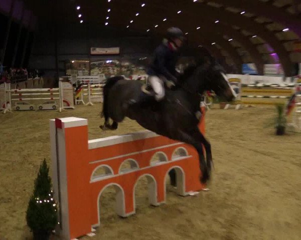 Reitturnier Essen-Stadtwald 2018