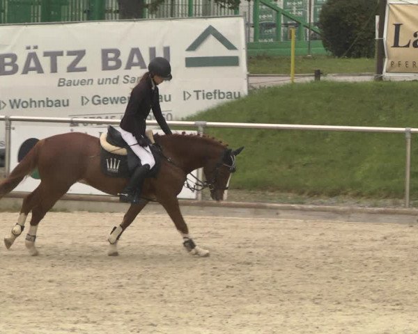 Reitturnier Durmersheim-Hardt 2021