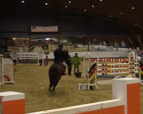 Reitturnier Essen-Stadtwald 2018