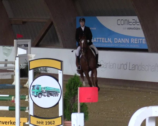 Reitturnier Essen-Stadtwald 2018
