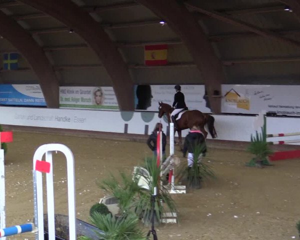 Reitturnier Essen-Stadtwald 2018
