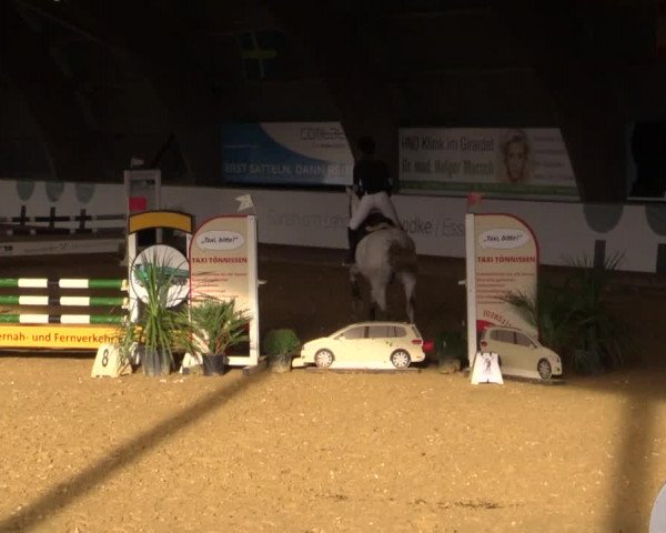 Reitturnier Essen-Stadtwald 2018