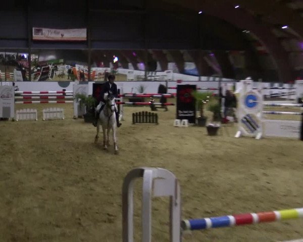 Reitturnier Essen-Stadtwald 2018