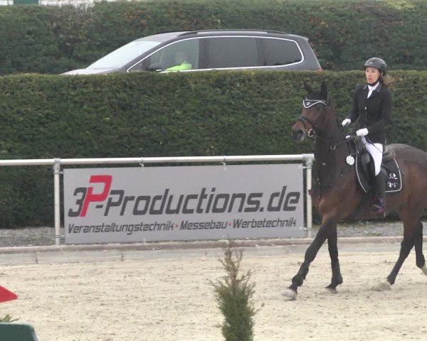 Reitturnier Durmersheim-Hardt 2021