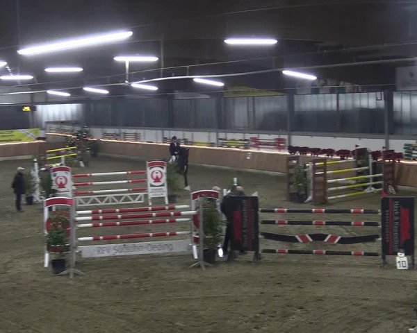 Reitturnier Südlohn-Oeding 2018