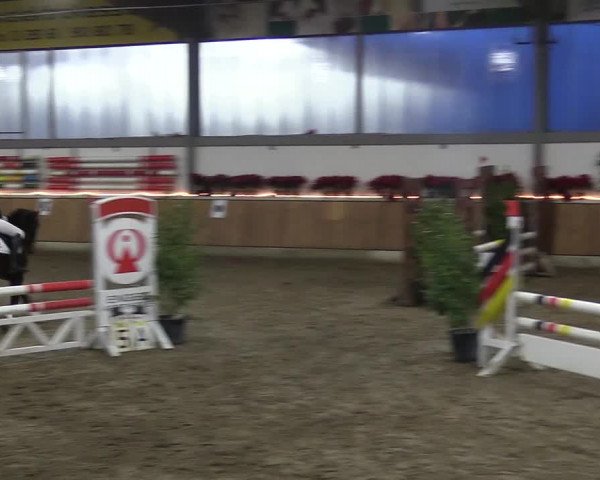 Reitturnier Südlohn-Oeding 2018