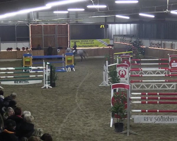 Reitturnier Südlohn-Oeding 2018