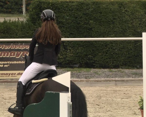 Reitturnier Durmersheim-Hardt 2021