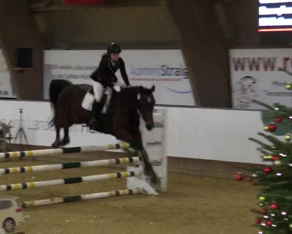 Reitturnier Essen-Stadtwald 2018