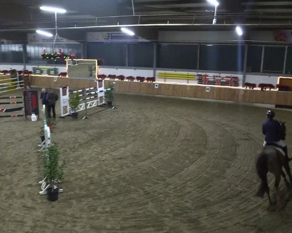 Reitturnier Südlohn-Oeding 2018