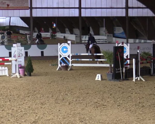 Reitturnier Essen-Stadtwald 2018