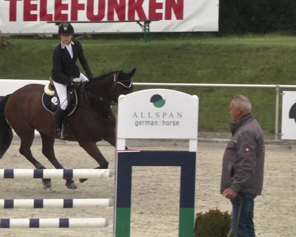 Reitturnier Durmersheim-Hardt 2021