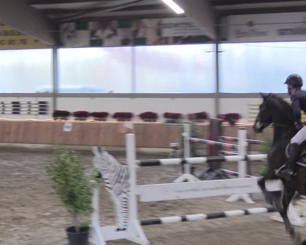 Reitturnier Südlohn-Oeding 2018
