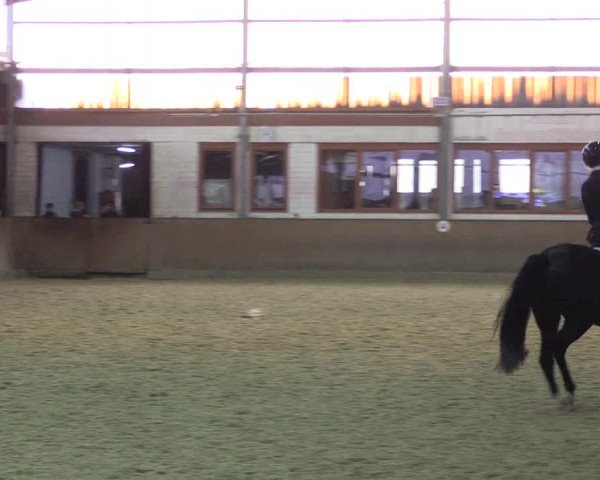 Reitturnier Appelhülsen 2018