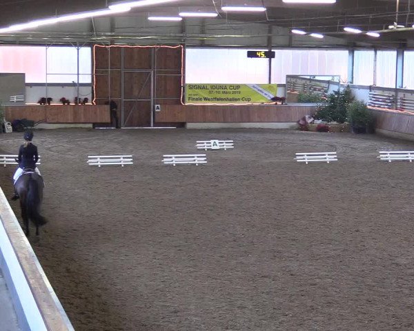 Reitturnier Südlohn-Oeding 2018