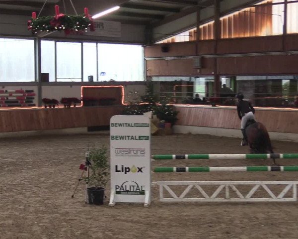 Reitturnier Südlohn-Oeding 2018