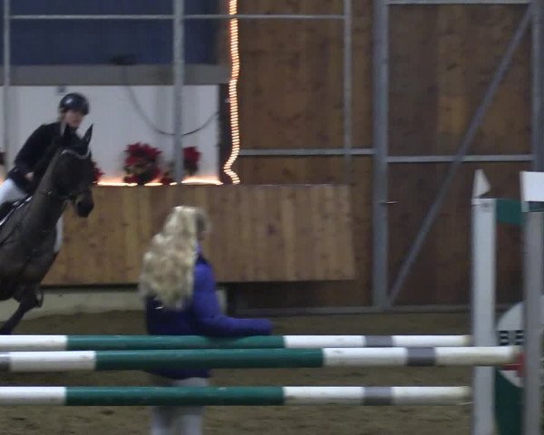 Reitturnier Südlohn-Oeding 2018