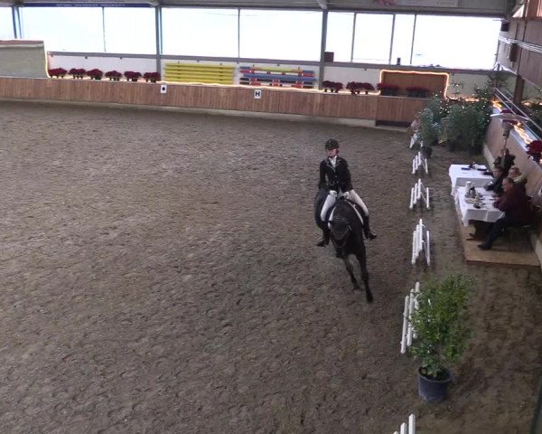 Reitturnier Südlohn-Oeding 2018