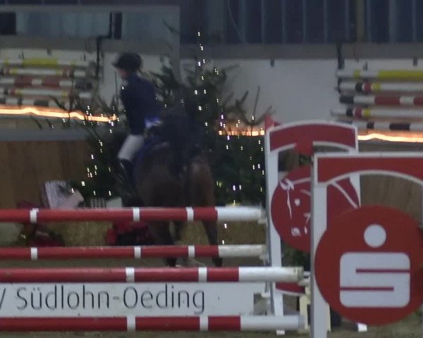 Reitturnier Südlohn-Oeding 2018