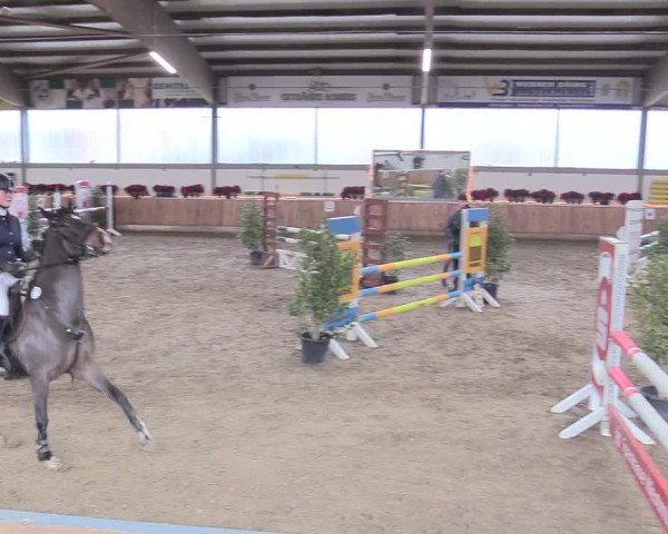 Reitturnier Südlohn-Oeding 2018