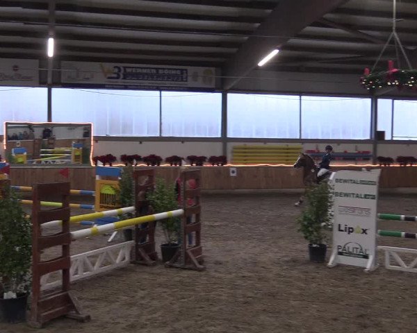 Reitturnier Südlohn-Oeding 2018