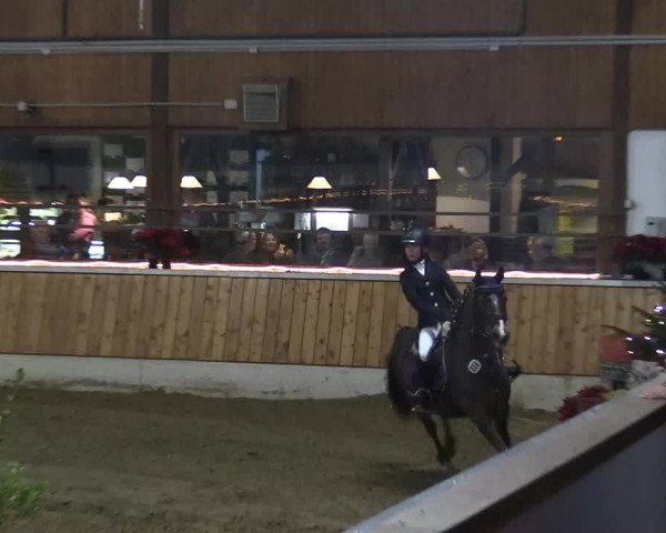 Reitturnier Südlohn-Oeding 2018