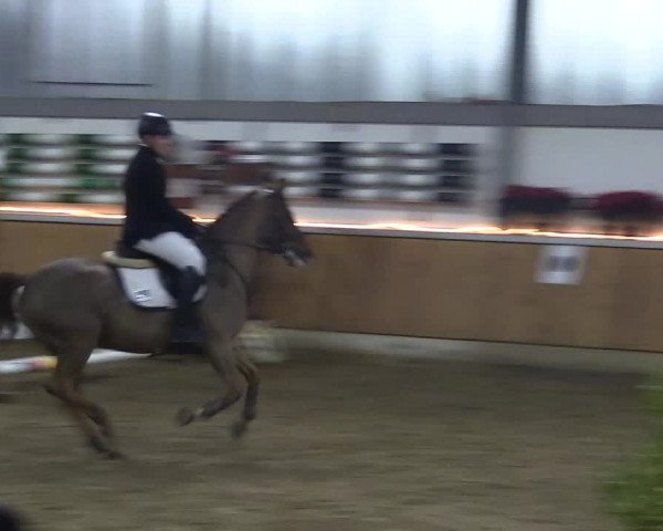 Reitturnier Südlohn-Oeding 2018