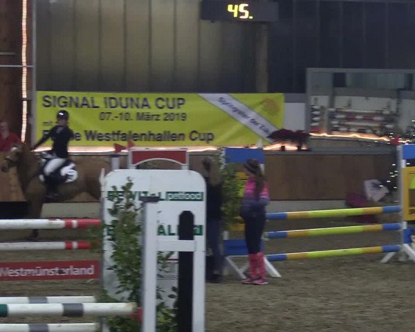 Reitturnier Südlohn-Oeding 2018