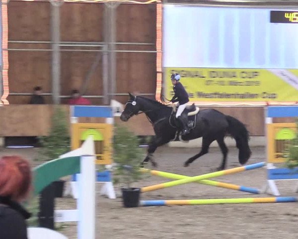 Reitturnier Südlohn-Oeding 2018